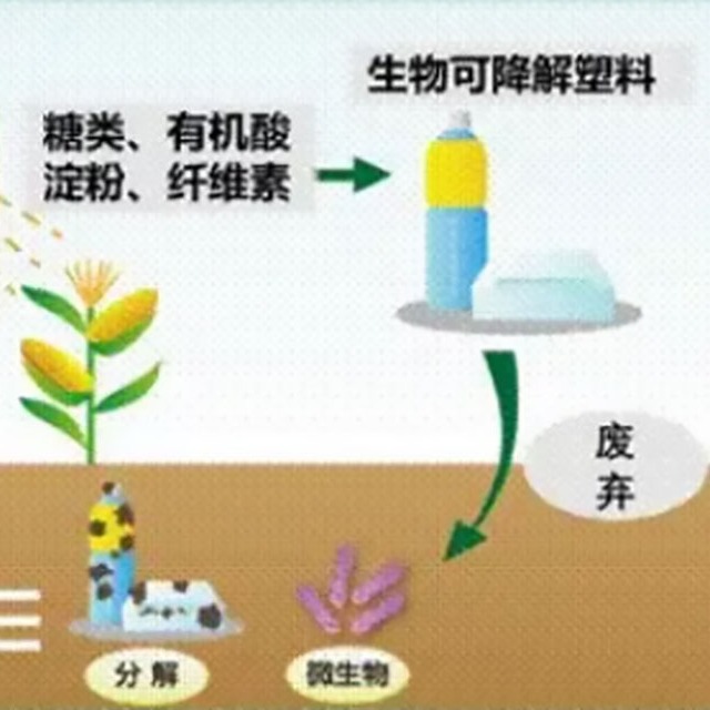 飽受爭(zhēng)議的“可降解塑料”