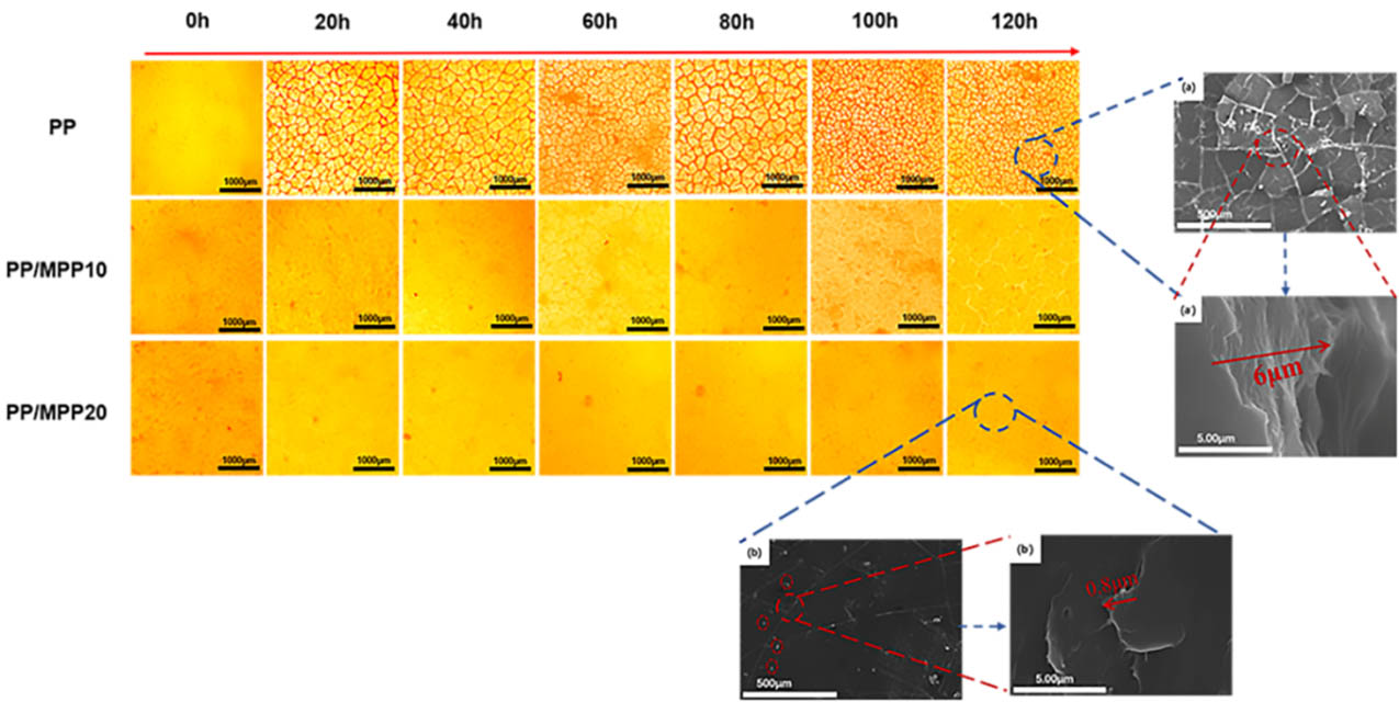257-01-紫外光輻照過(guò)程中PP以及PPMPP表面裂紋變化
